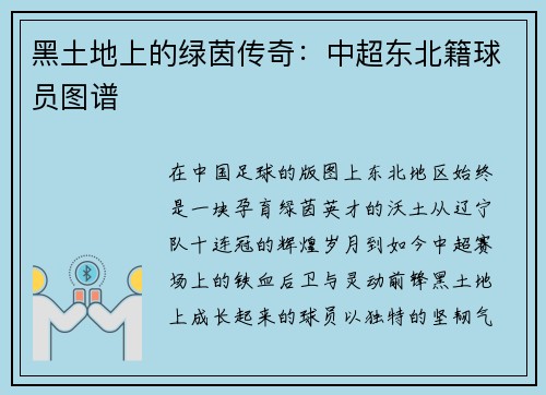 黑土地上的绿茵传奇：中超东北籍球员图谱