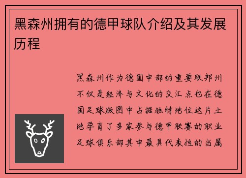 黑森州拥有的德甲球队介绍及其发展历程